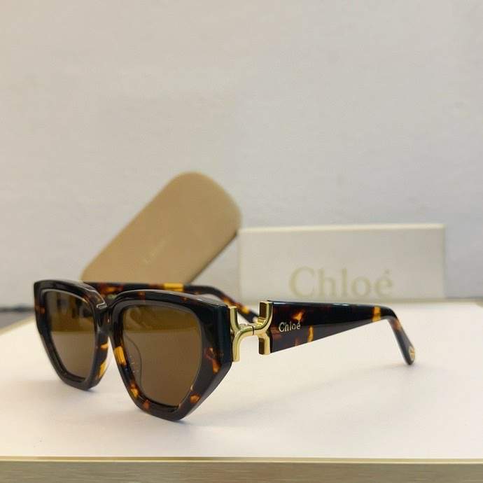 Picture of Chloe Sunglasses _SKUfw60701793fw